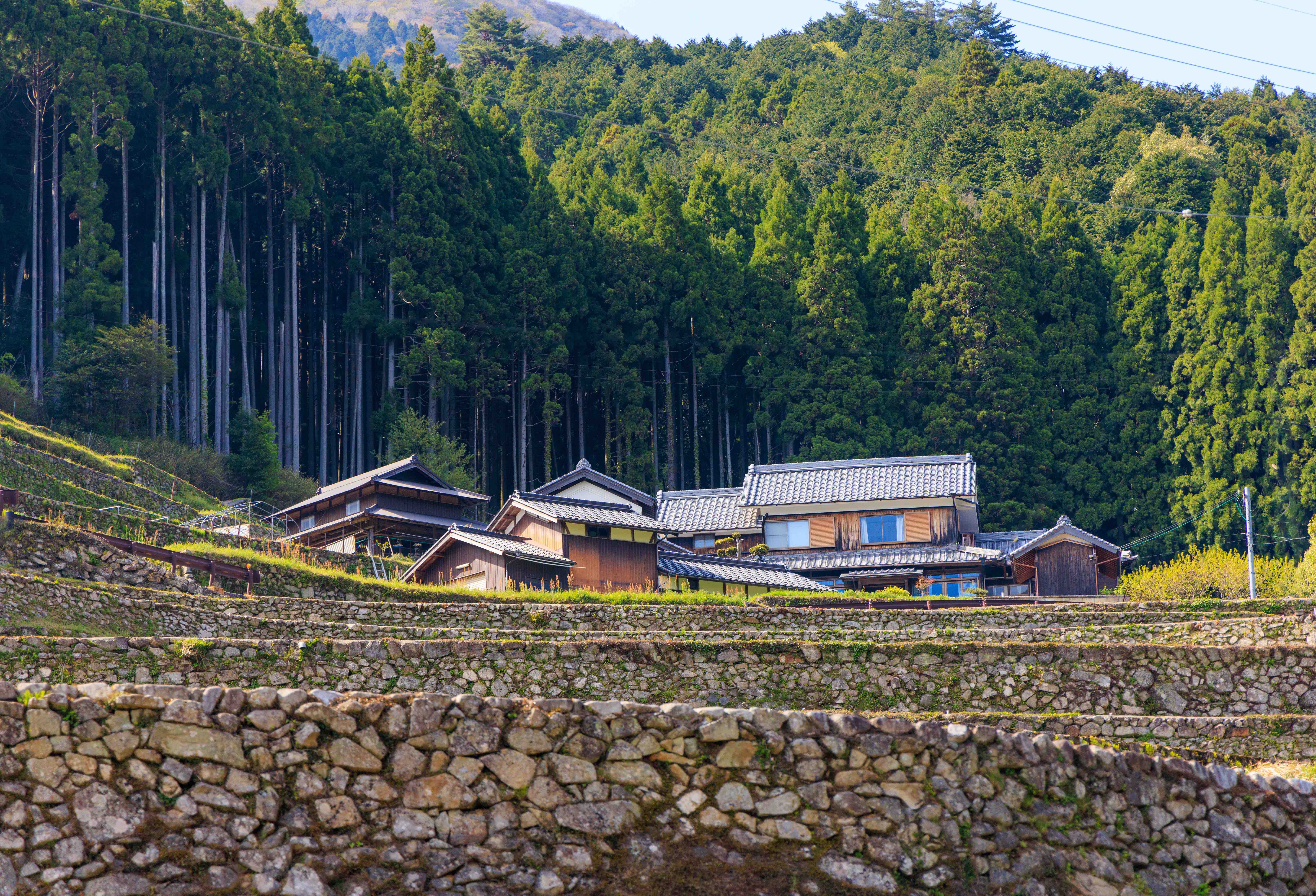 Akiya, maisons abandonnées au Japon