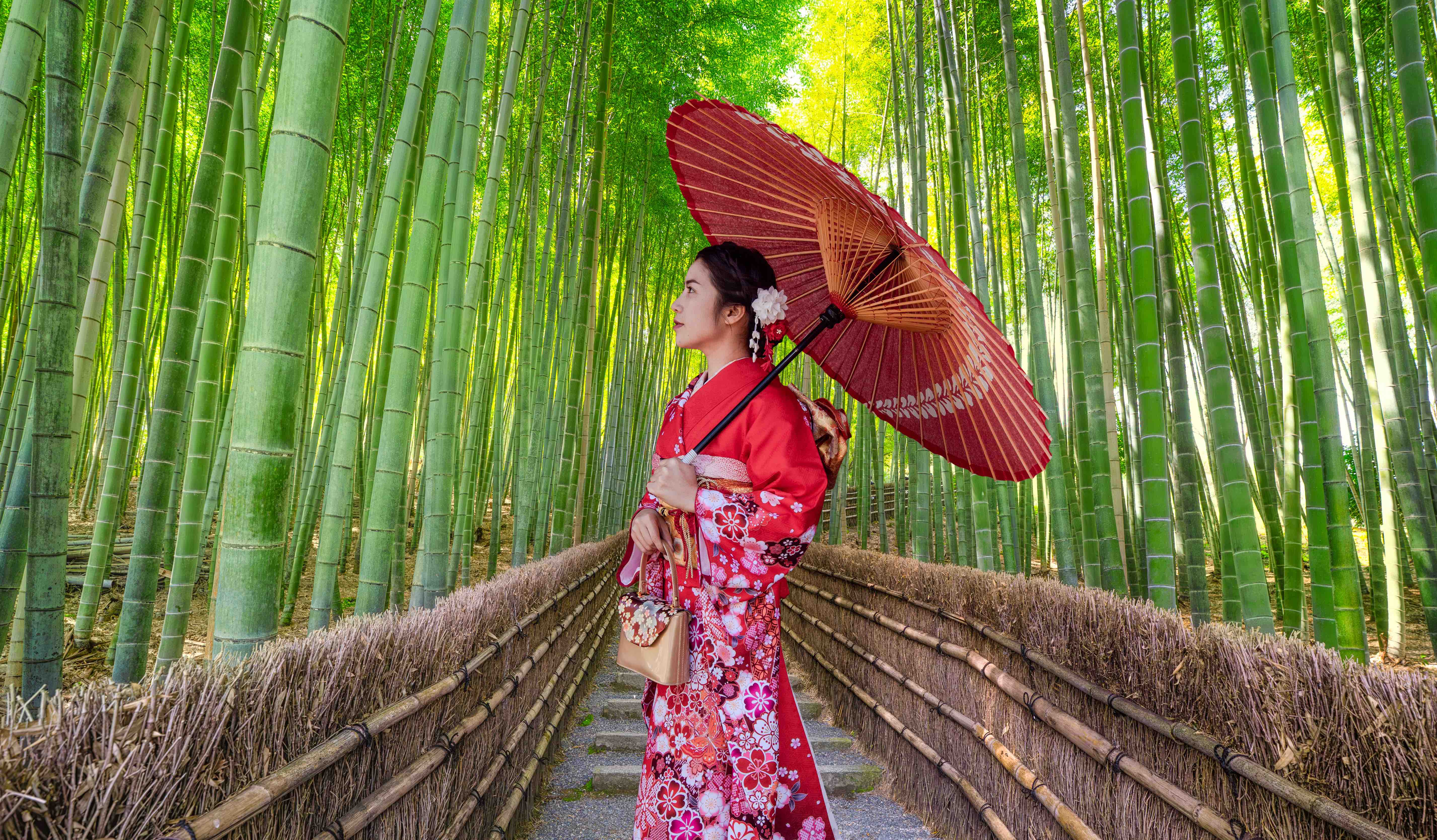 Meilleurs parcs à visiter au Japon